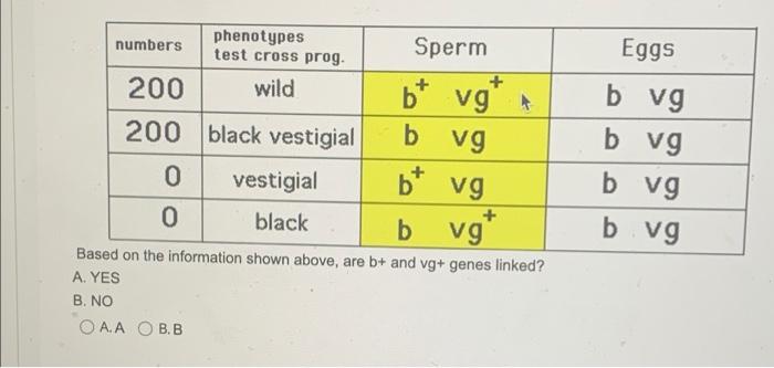 Many Human Genes Are Spliced To Form Multiple Mrnas A True B False Oa True O B False What Gametes Could Be Produced F 3