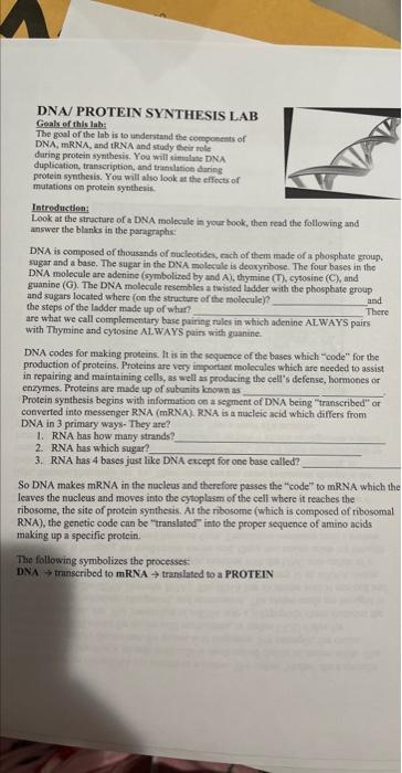 Dna Protein Synthesis Lab Goals Of This Lab The Goal Of The Lab Is To Understand The Components Of Dna Mrna And Trna 1
