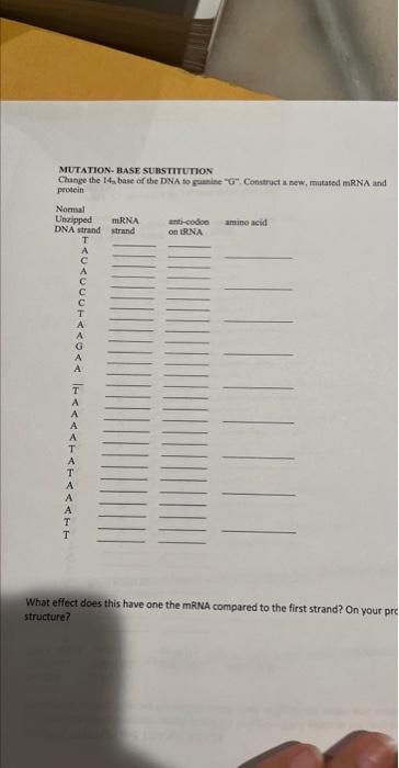 Dna Protein Synthesis Lab Goals Of This Lab The Goal Of The Lab Is To Understand The Components Of Dna Mrna And Trna 3