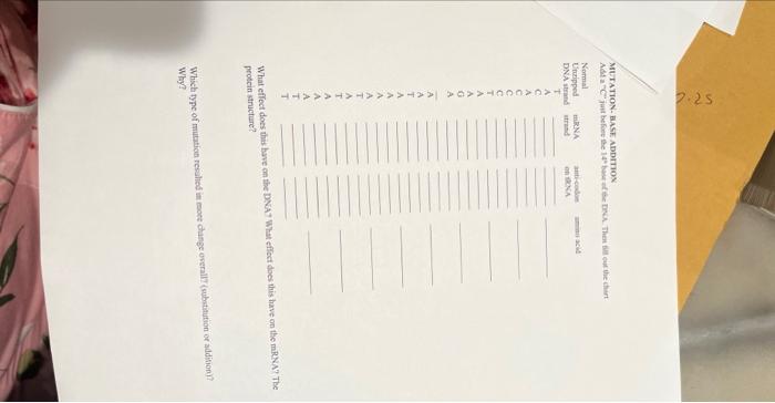 Dna Protein Synthesis Lab Goals Of This Lab The Goal Of The Lab Is To Understand The Components Of Dna Mrna And Trna 4