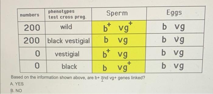 Numbers 200 200 0 Phenotypes Test Cross Prog Wild Black Vestigial Vestigial Black B Based On The Information Shown Abov 1