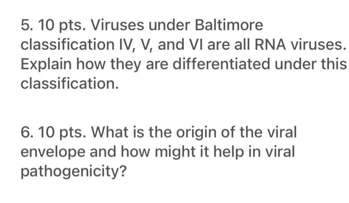 5 10 Pts Viruses Under Baltimore Classification Iv V And Vi Are All Rna Viruses Explain How They Are Differentiated 1