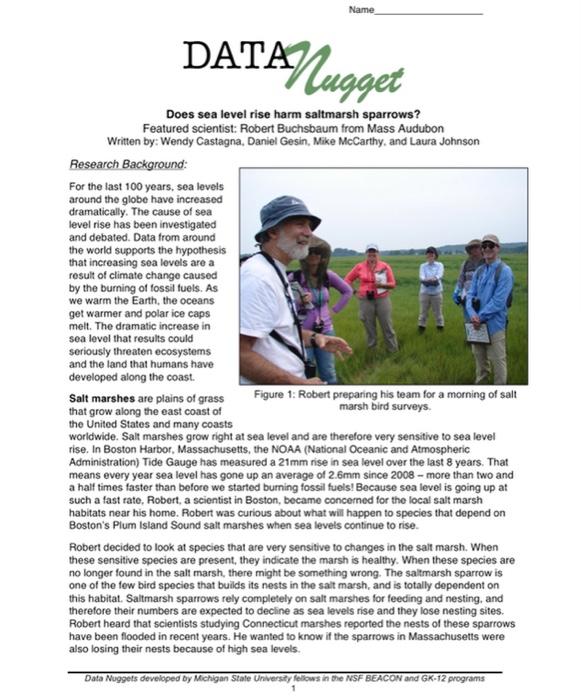 Name Data Nugget Does Sea Level Rise Harm Saltmarsh Sparrows Featured Scientist Robert Buchsbaum From Mass Audubon Wri 1