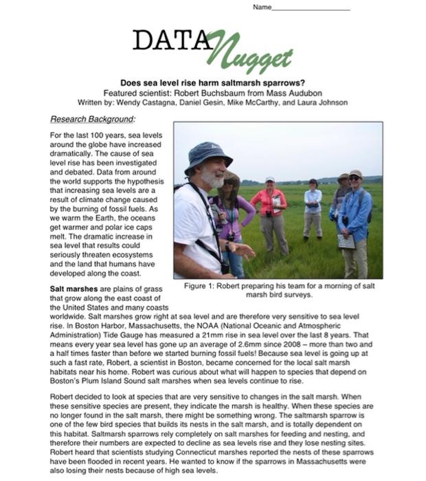 Data Nugget Does Sea Level Rise Harm Saltmarsh Sparrows Featured Scientist Robert Buchsbaum From Mass Audubon Written 1