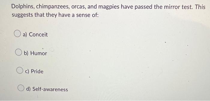 Dolphins Chimpanzees Orcas And Magpies Have Passed The Mirror Test This Suggests That They Have A Sense Of A Conce 1