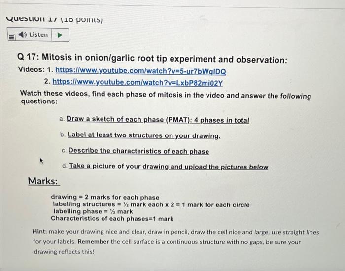 Question 110 Points Listen Q 17 Mitosis In Onion Garlic Root Tip Experiment And Observation Videos 1 Https Www Yo 1