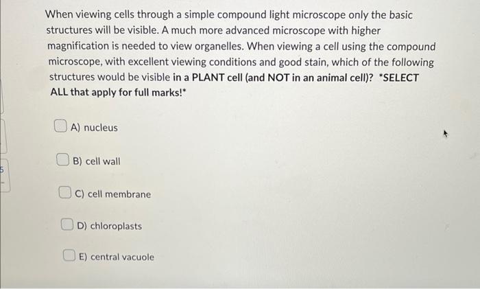 When Viewing Cells Through A Simple Compound Light Microscope Only The Basic Structures Will Be Visible A Much More Adv 1