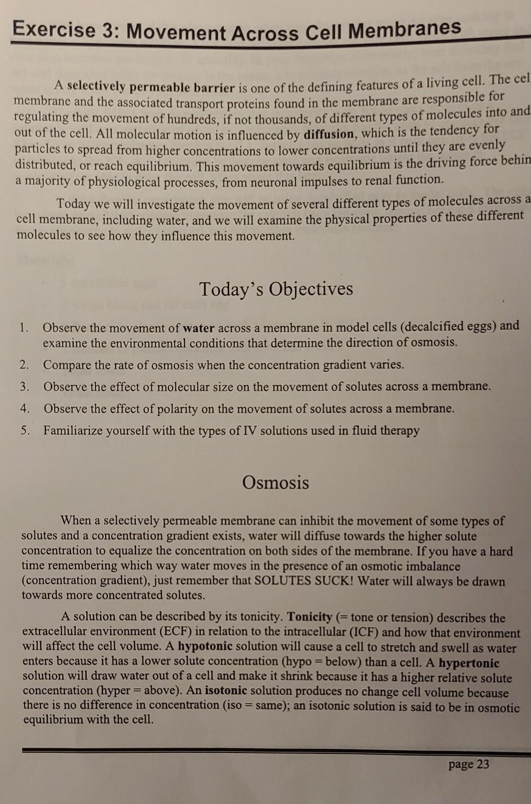 Exercise 3 Movement Across Cell Membranes A Selectively Permeable Barrier Is One Of The Defining Features Of A Living C 1