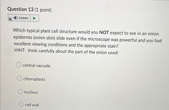 Question 13 1 Point Listen Which Typical Plant Cell Structure Would You Not Expect To See In An Onion Epidermis Onion 1