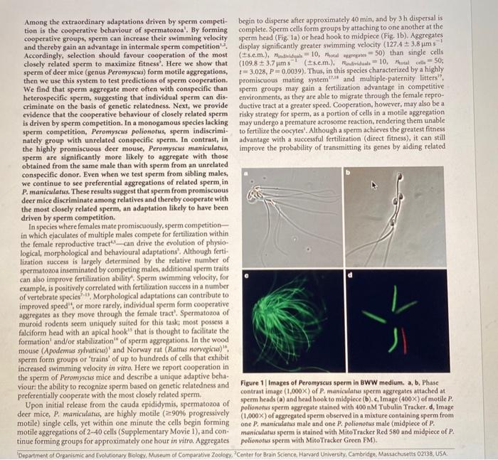 6 Based On The Results Of Their Study Fisher And Hoekstra Posit That Sperm Aggregation Could Be Involved In Reproducti 2