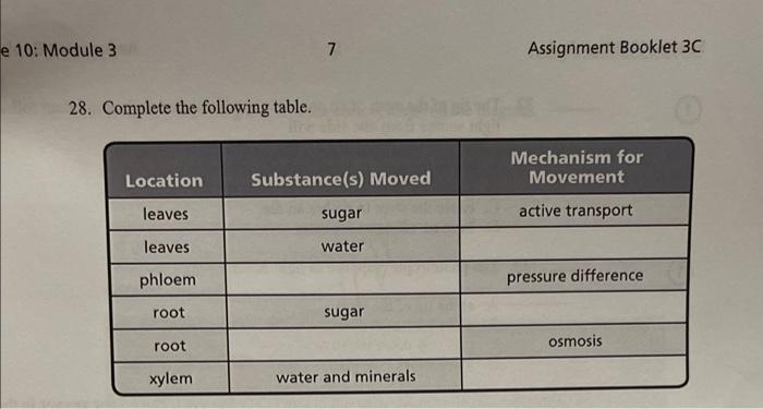 E 10 Module 3 28 Complete The Following Table 7 Location Substance S Moved Leaves Leaves Phloem Root Root Xylem Suga 1