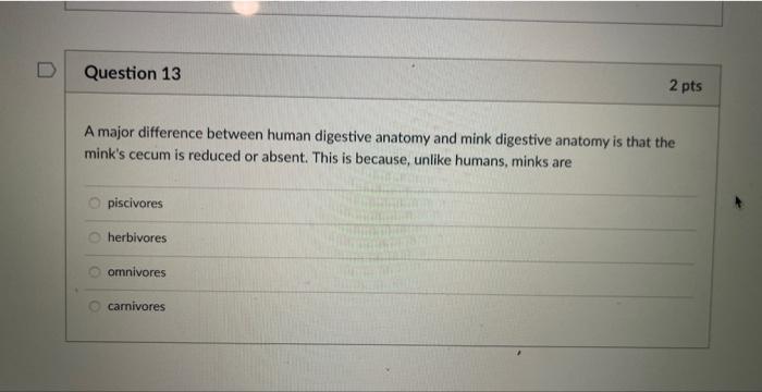 D Question 11 A Student Dissecting A Mink Finds Two Long Tubes In The Thoracic Cavity Both Tubes Seem To Be Attached To 3