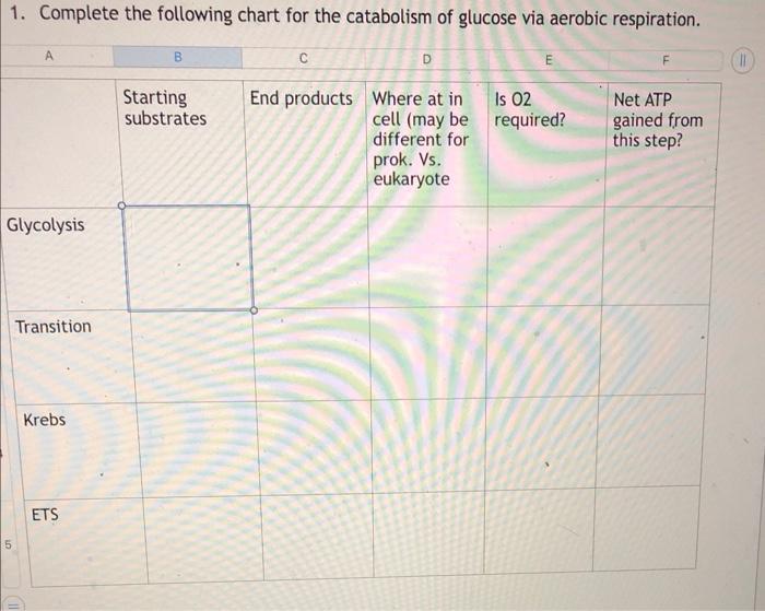 1 Complete The Following Chart For The Catabolism Of Glucose Via Aerobic Respiration A Glycolysis 5 Transition Krebs E 1
