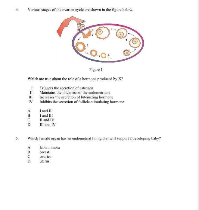 4 5 Various Stages Of The Ovarian Cycle Are Shown In The Figure Below Figure 1 Which Are True About The Role Of A Hor 1