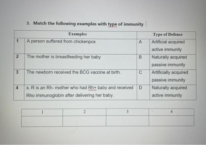 1 2 3 4 3 Match The Following Examples With Type Of Immunity Examples A Person Suffered From Chickenpox The Mother Is B 1