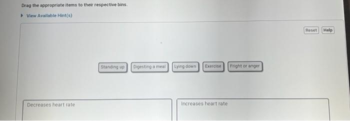 Drag The Appropriate Items To Their Respective Bins View Available Hint S Decreases Heart Rate Standing Up Digestin 1