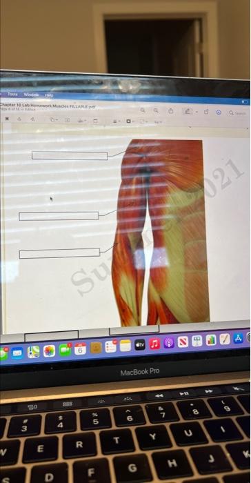 Tools Windel Chapter 10 Lab Homework Muscles Fillaple Per Fan V S 20 3 E D Su 388 R 5 F Macbook Pro T 10 6 Y Up H P 2 1