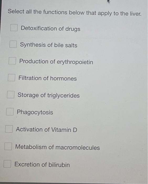 Select All The Functions Below That Apply To The Liver Detoxification Of Drugs Synthesis Of Bile Salts Production Of Er 1