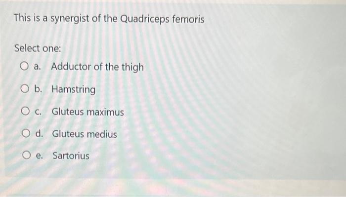 This Is A Synergist Of The Quadriceps Femoris Select One O A Adductor Of The Thigh O B Hamstring O C Gluteus Maximus 1