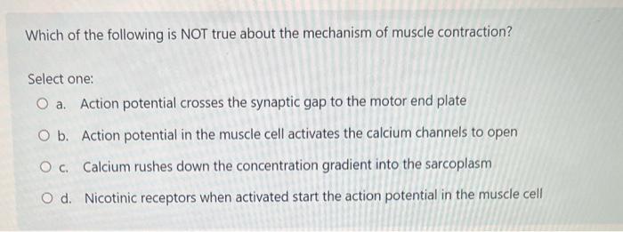 This Is A Synergist Of The Quadriceps Femoris Select One O A Adductor Of The Thigh O B Hamstring O C Gluteus Maximus 2