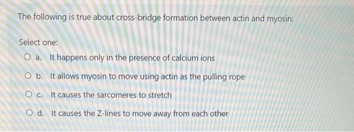 This Is A Synergist Of The Quadriceps Femoris Select One O A Adductor Of The Thigh O B Hamstring O C Gluteus Maximus 3
