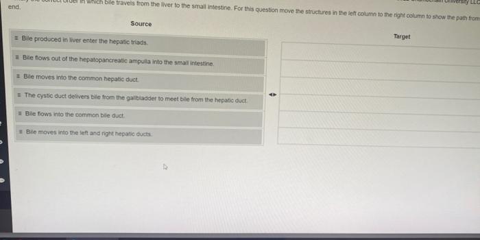 End In Which Bile Travels From The Liver To The Small Intestine For This Question Move The Structures In The Left Colu 1