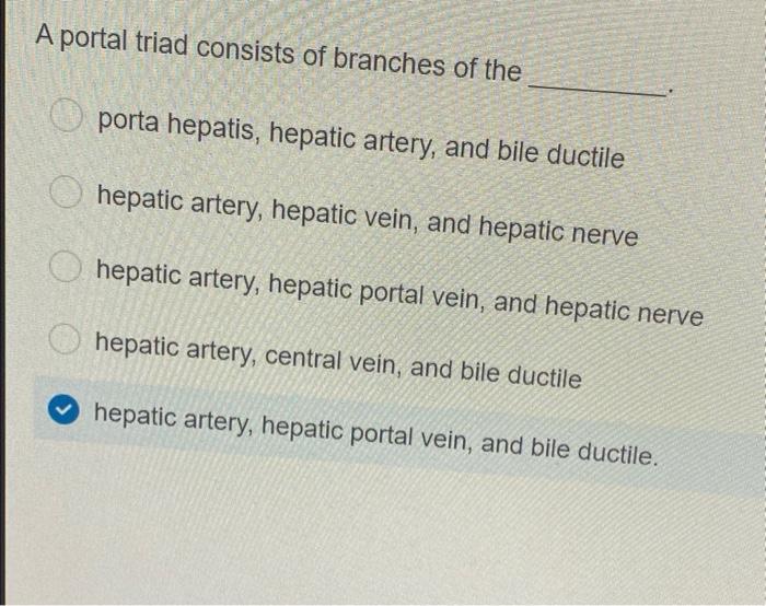 A Portal Triad Consists Of Branches Of The Porta Hepatis Hepatic Artery And Bile Ductile Hepatic Artery Hepatic Vein 1