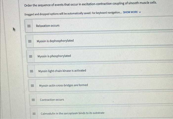 Order The Sequence Of Events That Occur In Excitation Contraction Coupling Of Smooth Muscle Cells Dragged And Dropped O 1