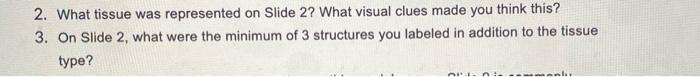 2 What Tissue Was Represented On Slide 2 What Visual Clues Made You Think This 3 On Slide 2 What Were The Minimum O 1