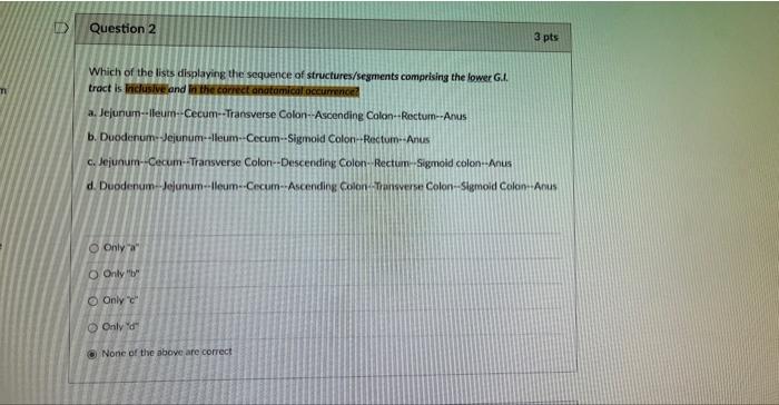 Question 2 Which Of The Lists Displaying The Sequence Of Structures Segments Comprising The Lower G Tract Is Inclusive 1