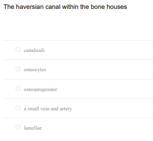 The Haversian Canal Within The Bone Houses Canaliculi Osteocytes Osteoprogenitor A Small Vein And Artery Lamellae The P 1