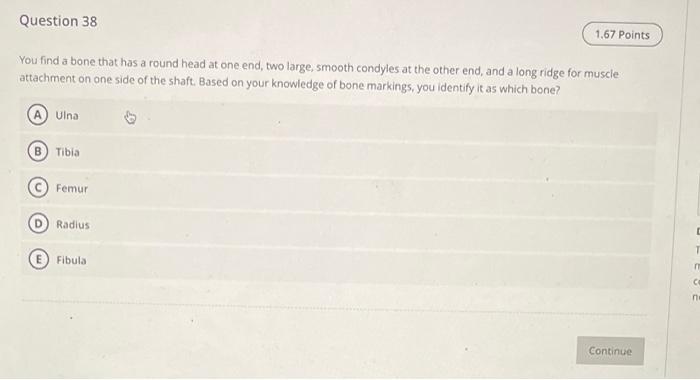 Question 38 You Find A Bone That Has A Round Head At One End Two Large Smooth Condyles At The Other End And A Long Ri 1