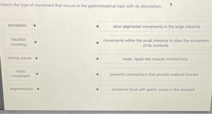 Match The Type Of Movement That Occurs In The Gastrointestinal Tract With Its Description Peristalsis Haustral Churning 1