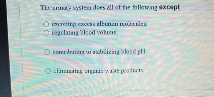 The Urinary System Does All Of The Following Except O Excreting Excess Albumin Molecules O Regulating Blood Volume O C 1