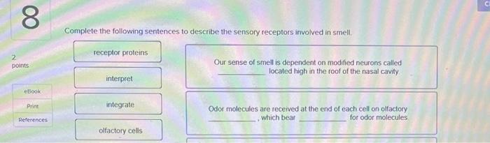 8 2 Points Ebook Print References Complete The Following Sentences To Describe The Sensory Receptors Involved In Smell 1