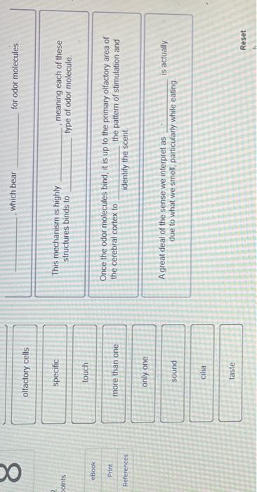 8 2 Points Ebook Print References Complete The Following Sentences To Describe The Sensory Receptors Involved In Smell 2