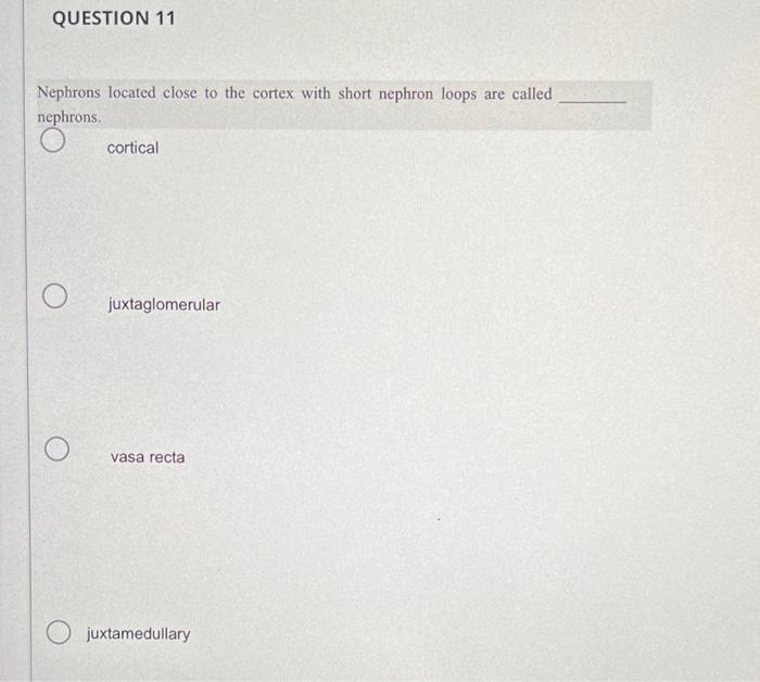 Question 11 Nephrons Located Close To The Cortex With Short Nephron Loops Are Called Nephrons O Cortical Juxtaglomerula 1