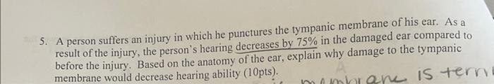 5 A Person Suffers An Injury In Which He Punctures The Tympanic Membrane Of His Ear As A Result Of The Injury The Per 1