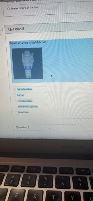 Epicnier Onts O Lamina Propria Of Trachea Question 8 Which Structure Is Highlighted D Othyroid Cartilage 43 Trachea Cri 1