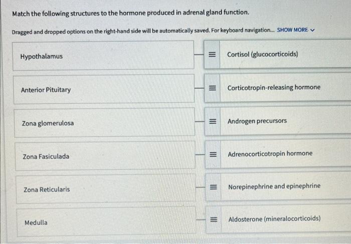 Match The Following Structures To The Hormone Produced In Adrenal Gland Function Dragged And Dropped Options On The Rig 1