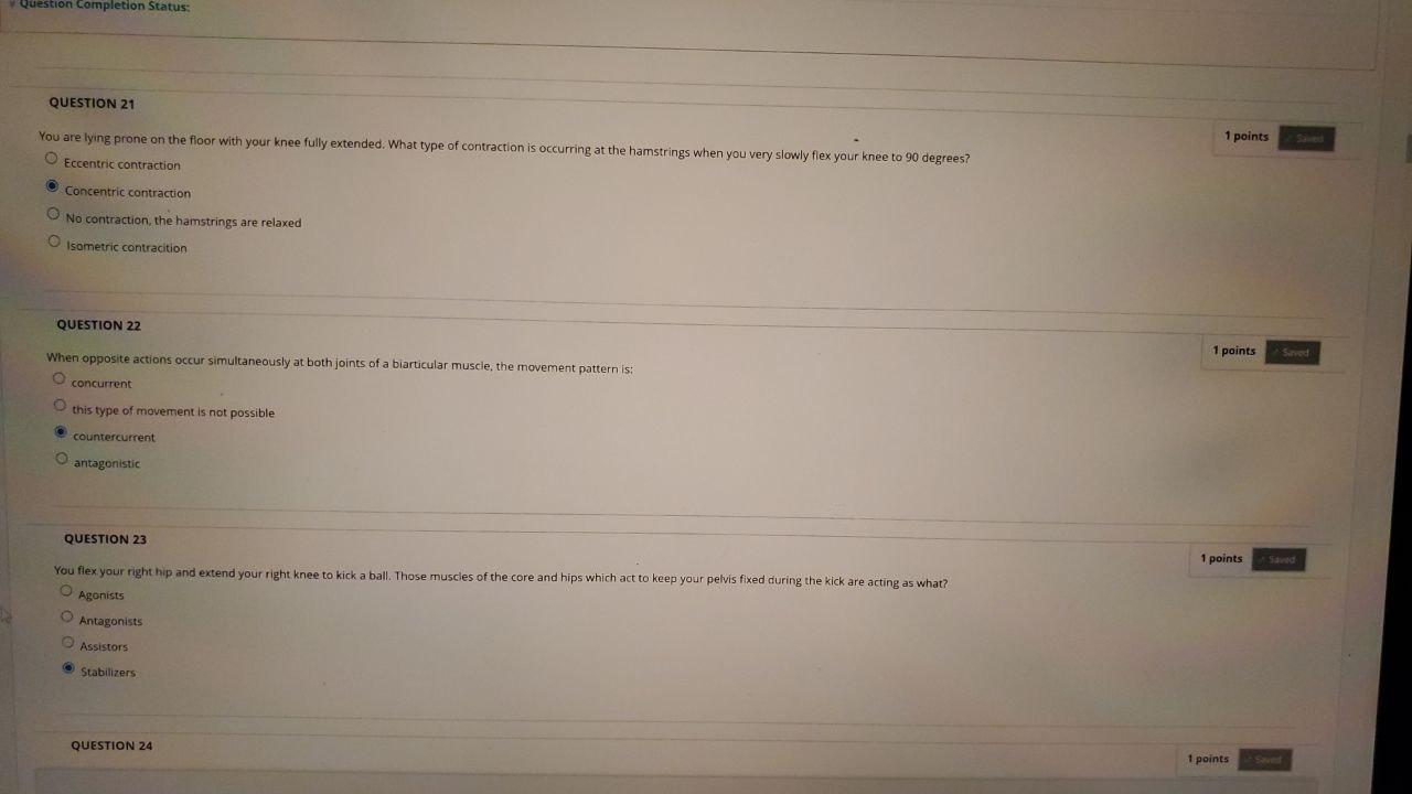 Question Completion Status Question 21 You Are Lying Prone On The Floor With Your Knee Fully Extended What Type Of Con 1