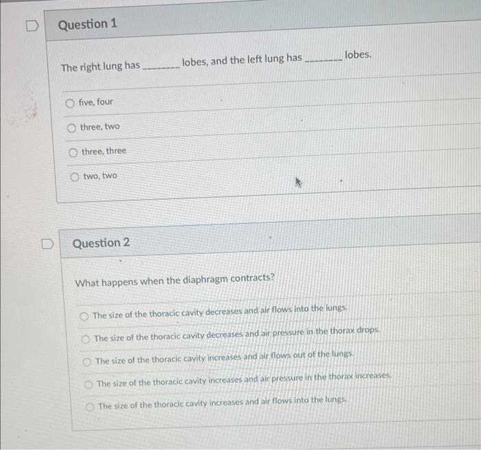 Question 1 The Right Lung Has O Five Four Three Two O Three Three O Two Two Question 2 Lobes And The Left Lung Has 1