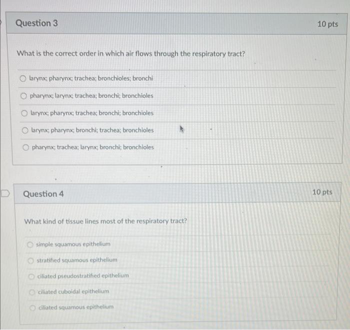 D Question 3 What Is The Correct Order In Which Air Flows Through The Respiratory Tract O Larynx Pharynx Trachea Bro 1