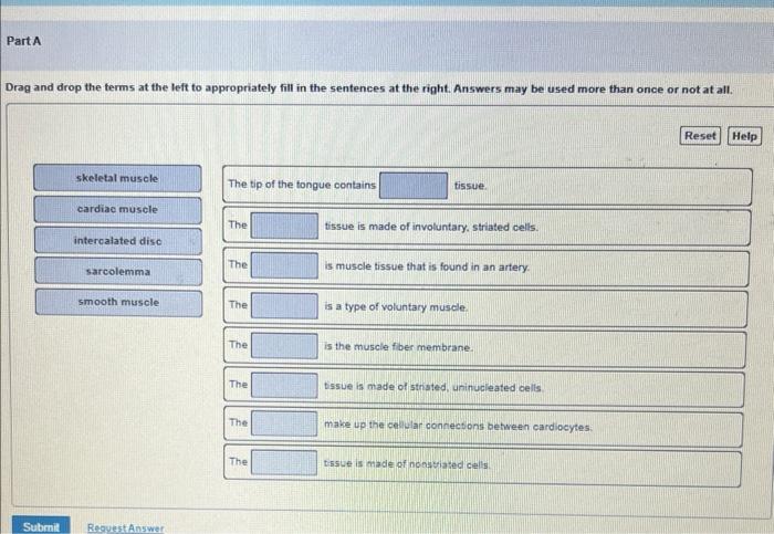 Part A Drag And Drop The Terms At The Left To Appropriately Fill In The Sentences At The Right Answers May Be Used More 1