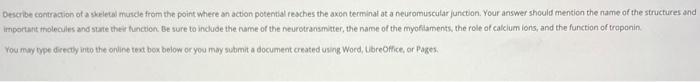 Describe Contraction Of A Skeletal Muscle From The Point Where An Action Potential Reaches The Axon Terminal At A Neurom 1