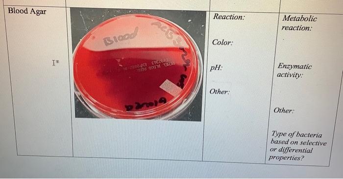 Table 1 Test Mannitol Salt Agar Msa I Picture Result Reaction Color Ph Other Description Metabolic Reaction Enzy 3