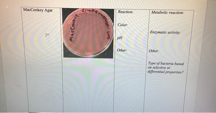 Table 1 Test Mannitol Salt Agar Msa I Picture Result Reaction Color Ph Other Description Metabolic Reaction Enzy 4