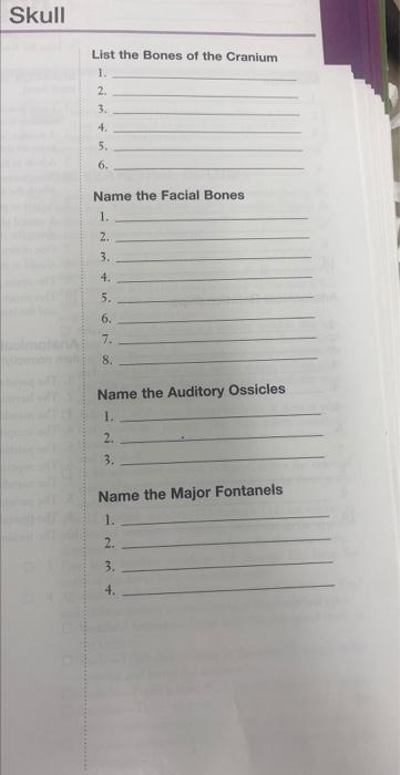 Skull List The Bones Of The Cranium 1 2 3 4 5 6 Name The Facial Bones 1 2 3 4 5 6 7 8 Name The Auditory Os 1