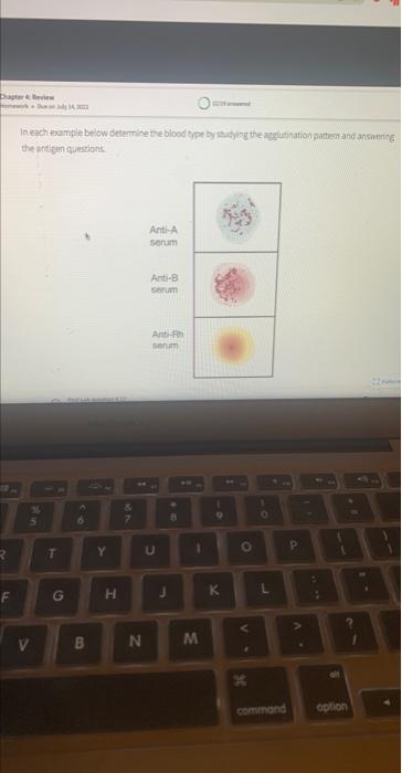 Post Lab Question 4 17 Homework Unanswered Fill In The Blanks Type Your Answers In All Of The Blanks And Submit X X S2 3