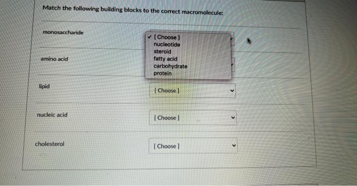 Match The Following Building Blocks To The Correct Macromolecule Monosaccharide Amino Acid Lipid Nucleic Acid Cholester 1